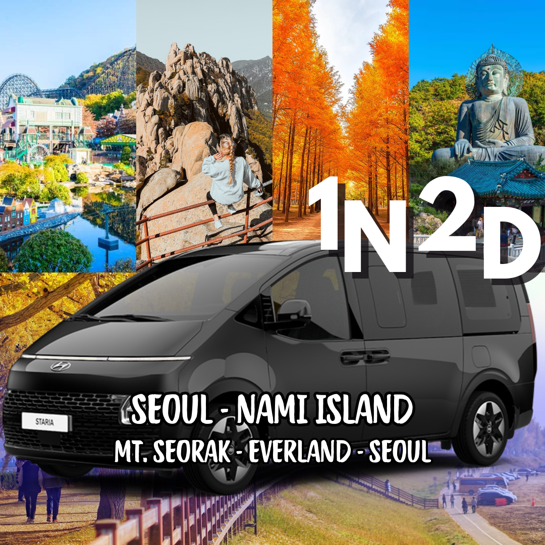 1N2D Seoul - Nami Island - Mt. Sorak - Everland - Seoul