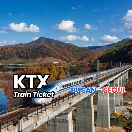 AGENT - KTX Train Ticket [BUSAN - SEOUL]