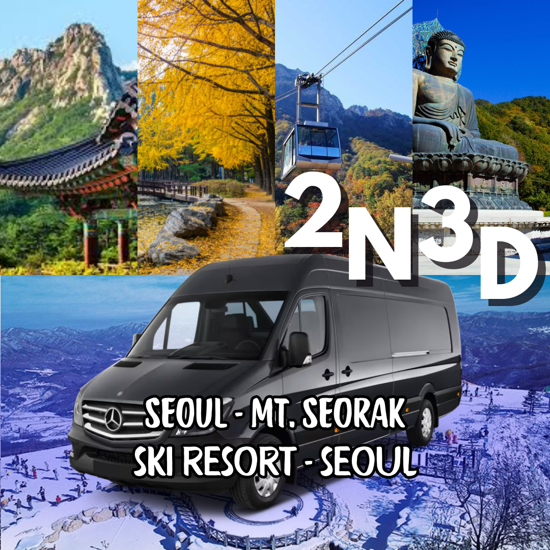 2N3D Seoul - Mt. Sorak - Ski Resort - Seoul (WINTER SPECIAL)