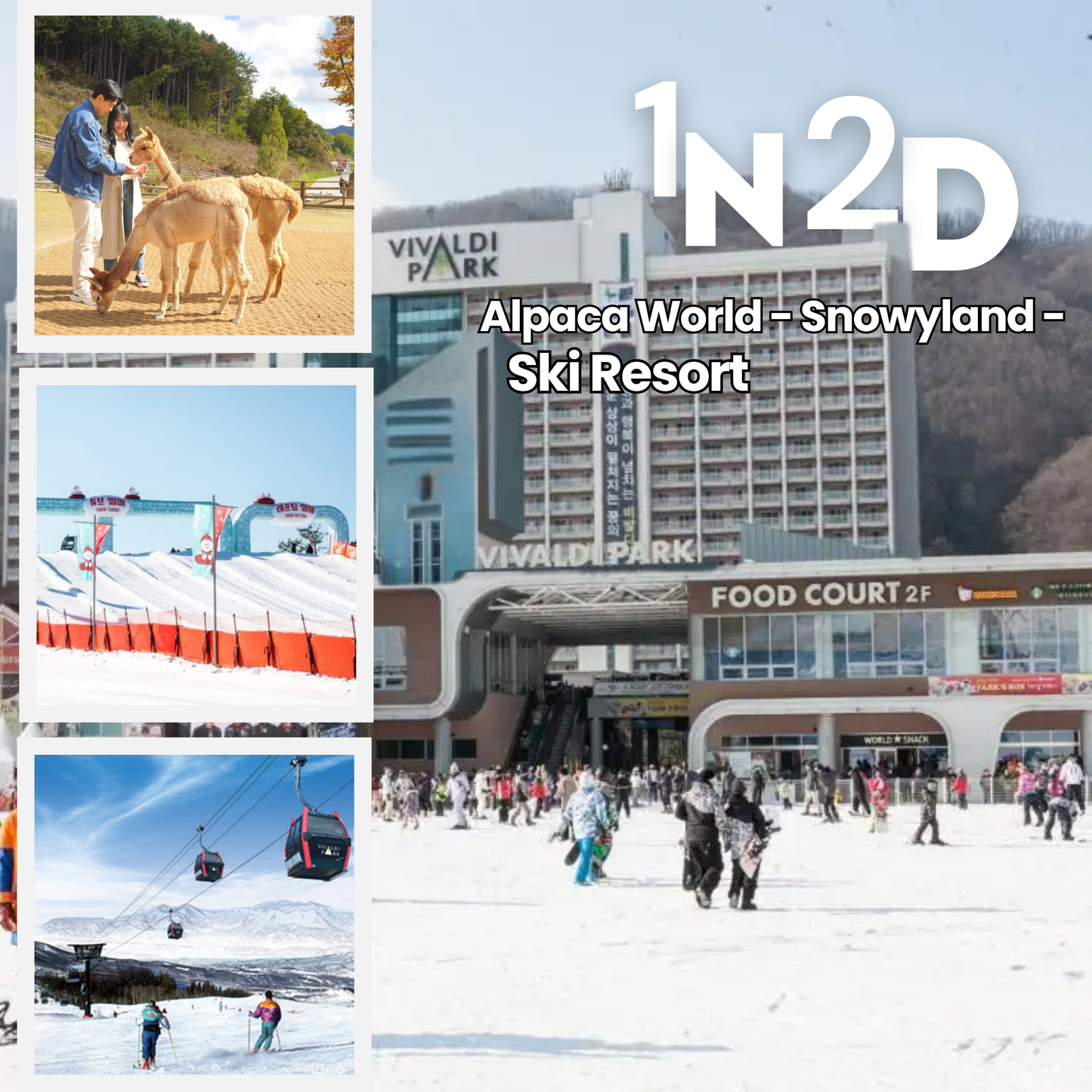 AGEN - 1N2D Alpaca - Snowyland - Resor Ski