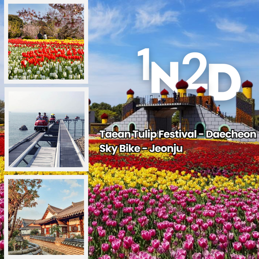 AGEN - FESTIVAL TULIP TAEAN 1N2D -DAECHON SKYBIKE - JEONJU