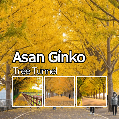 AGEN - 1N2D Seoul - Jeonju - Seoul