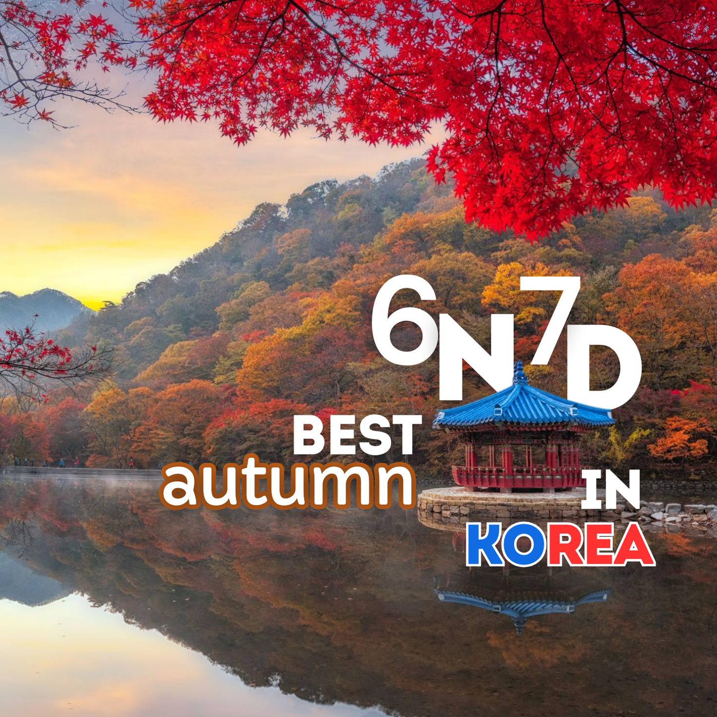 AGENT - 6N7D BEST AUTUMN KOREA