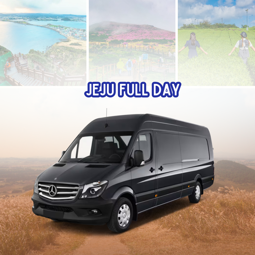 AGENT - Jeju Full Day Tour