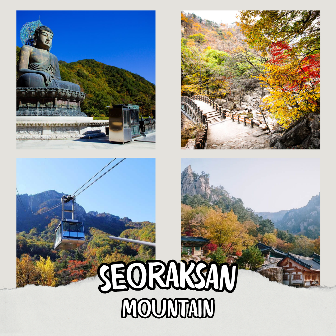 AGEN - 1N2D Seoul - Pulau Nami - Gunung Sorak - Everland - Seoul