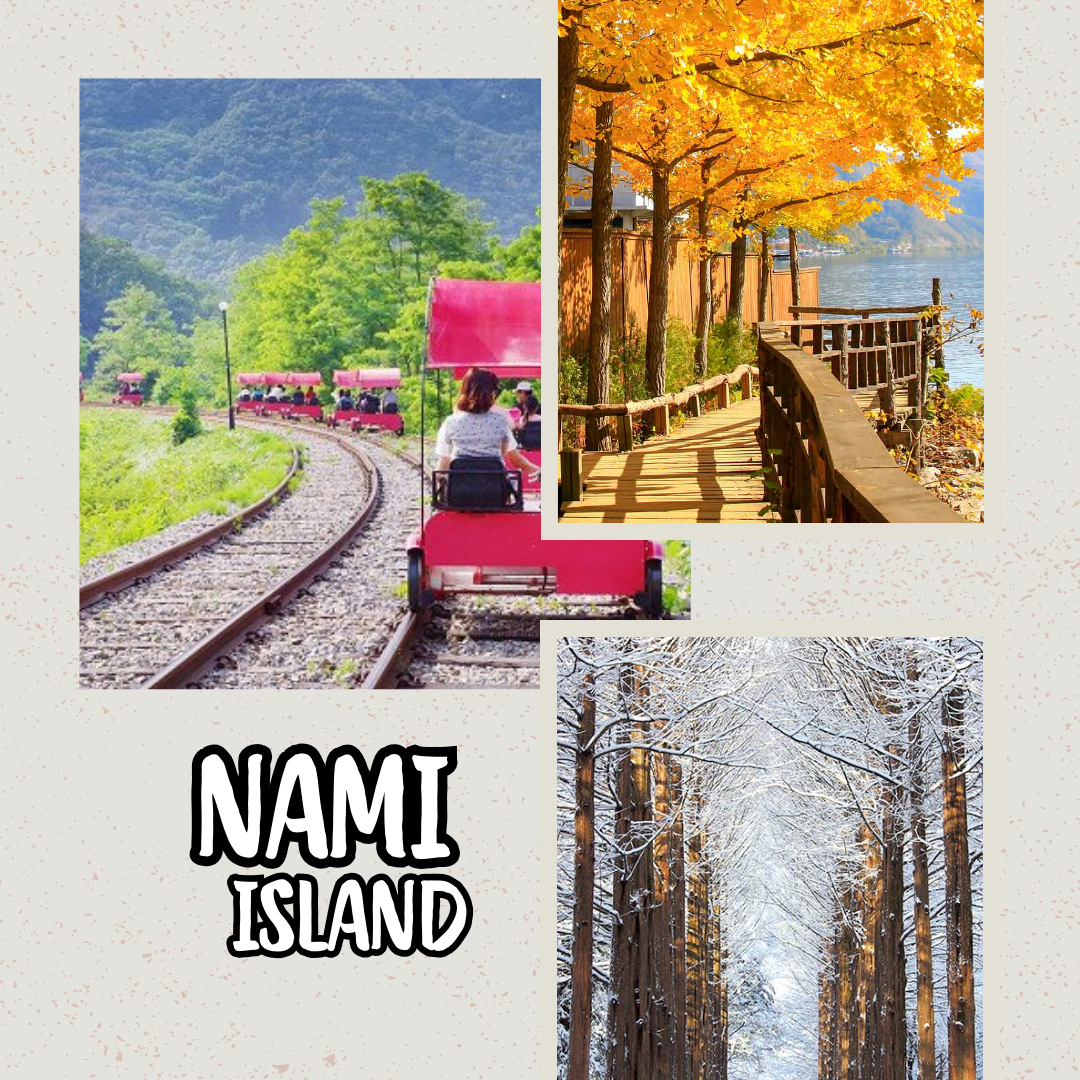 Seoul - Petite France - Nami Island - Morning Calm - Rail Bike - Alpaca