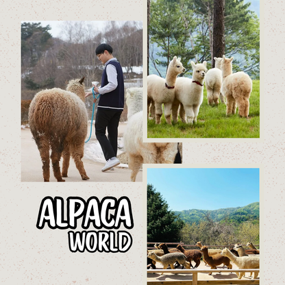 Seoul - Petite France - Pulau Nami - Morning Calm - Sepeda Rel - Alpaca