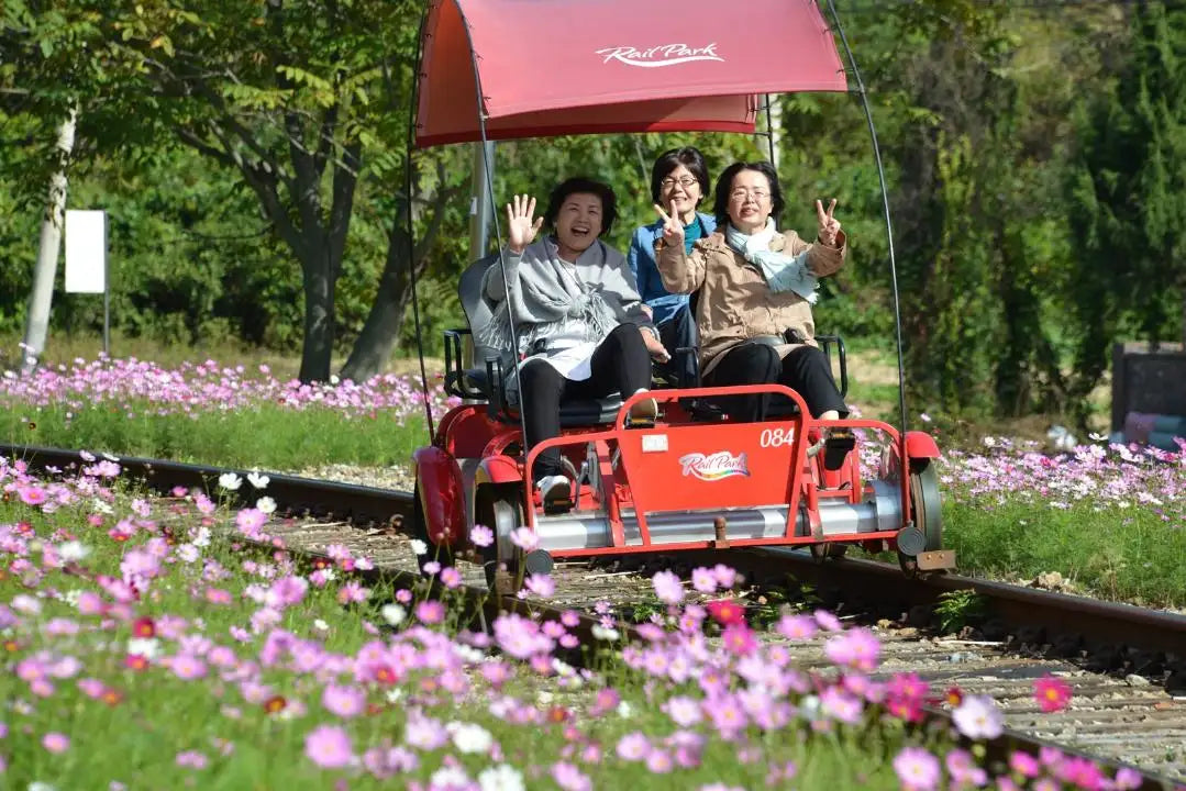 Gangchon Rail Bike