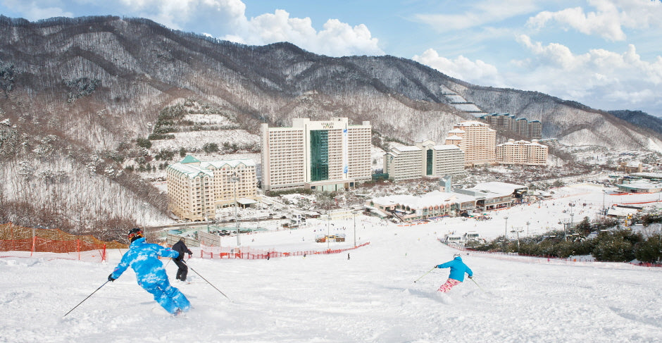 AGENT - 1N2D Alpaca - Snowyland - Ski Resort