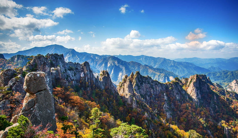 AGENT - Seoul - Mt. Sorak - Nami Island - Seoul